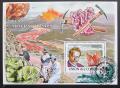 Poštovní známka Komory 2009 Mineralogové Mi# Block 463 Kat 15€