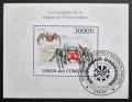 Poštovní známka Komory 2009 Pavouci Mi# Block 571 Kat 15€