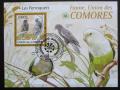 Poštovní známka Komory 2009 Papoušci Mi# Block 521 Kat 15€