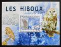 Poštovní známka Guinea 2009 Sovy Mi# Block 1767 Kat 10€