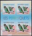 Poštovní známky Burundi 2013 Papoušek žlutotemenný neperf. Mi# 2817 B Bogen 