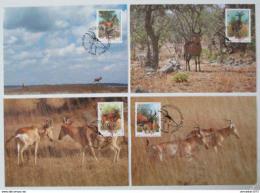 Maxikarty Mosambik 1991 Antilopy, WWF 108 Mi# 1231-34