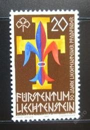 Poštovní známka Lichtenštejnsko 1981 Skauti Mi# 773