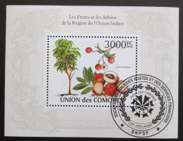 Poštovní známka Komory 2009 Ovoce Mi# Block 568 Kat 15€