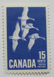 Poštovní známka Kanada 1963 Kanadské husy Mi# 357