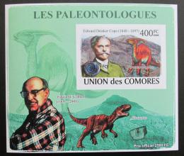 Potovn znmka Komory 2009 Paleontologov a dinosaui neperf. Mi# 1964 B - zvtit obrzek