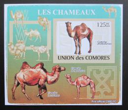 Poštovní známka Komory 2009 Velbloud neperf Deluxe Mi# 2128 B