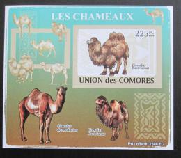 Poštovní známka Komory 2009 Velbloud neperf Deluxe Mi# 2130 B