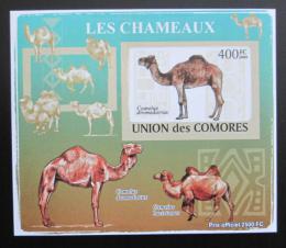 Poštovní známka Komory 2009 Velbloud neperf Deluxe Mi# 2132 B