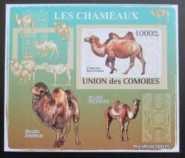 Poštovní známka Komory 2009 Velbloud neperf Deluxe Mi# 2133 B