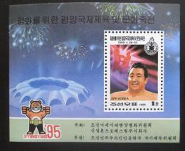 Poštovní známka KLDR 1995 Wrestling Mi# Block 335