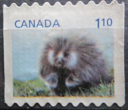 Poštovní známka Kanada 2013 Urzon kanadský Mi# 2928