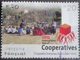 Poštovní známka Nepál 2012 Mezinárodní rok družstevníkù Mi# 1065