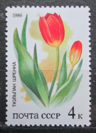 Poštovní známka SSSR 1986 Tulipány Mi# 5573