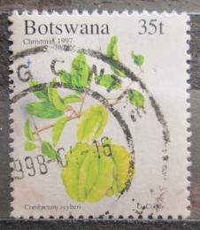 Potovn znmka Botswana 1997 Uzlenec Mi# 654