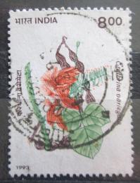 Poštovní známka Indie 1993 Erythrina variegata Mi# 1400