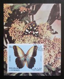Poštovní známka Šardžá 1972 Motýli neperf. Mi# Block 118 