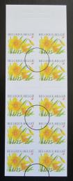 Poštovní známky Belgie 2001 Narcisy Mi# 3095 Kat 9€