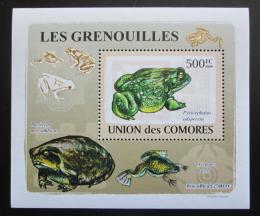 Poštovní známka Komory 2009 Žáby DELUXE Mi# 2167 Block