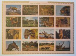Poštovní známky Umm al-Kuvajn 1972 Fauna neperf. TOP SET Mi# 1002-17 B Kat 25€