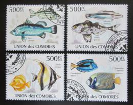 Poštovní známky Komory 2009 Ryby Mi# 2682-85 Kat 9€ - zvìtšit obrázek