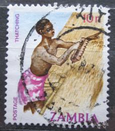 Poštovní známka Zambie 1981 Pokrývaè Mi# 253