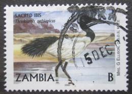 Poštovní známka Zambie 2001 Ibis posvátný Mi# 1258