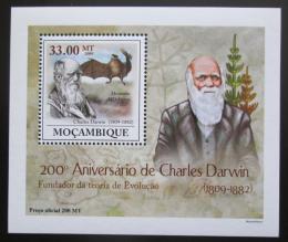 Poštovní známka Mosambik 2009 Dinosauøi DELUXE Mi# 3437 Block