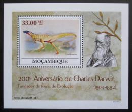 Poštovní známka Mosambik 2009 Dinosauøi DELUXE Mi# 3438 Block 