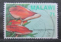 Potovn znmka Malawi 1985 Houby Mi# 441