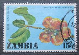 Poštovní známka Zambie 1976 Uapaca kirkiana Mi# 166
