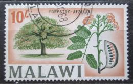 Potovn znmka Malawi 1964 Afzelia quanzensis Mi# 13