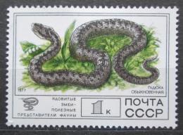 Poštovní známka SSSR 1977 Zmije obecná Mi# 4678