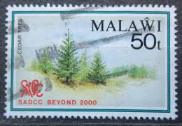 Poštovní známka Malawi 1990 Cedry Mi# 555 Kat 2.80€