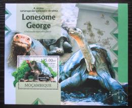 Poštovní známka Mosambik 2012 Nejstarší želva sloní pintská Mi# Block 675 Kat 10€