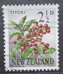 Poštovní známka Nový Zéland 1961 Titoki Mi# 395