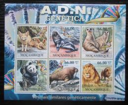 Poštovní známky Mosambik 2011 Savci Mi# 5330-35 Kat 23€