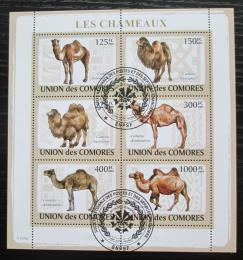 Poštovní známky Komory 2009 Velbloudi Mi# 2128-33 Kat 11€
