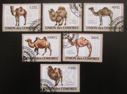Poštovní známky Komory 2009 Velbloudi Mi# 2128-33 Kat 11€