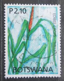 Poštovní známka Botswana 2005 Bér italský Mi# 814