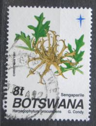 Poštovní známka Botswana 1991 Harpagofyt ležatý, vánoce Mi# 501
