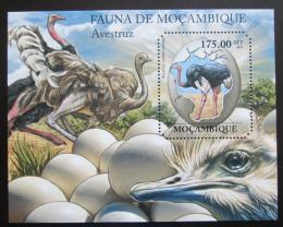 Poštovní známka Mosambik 2011 Pštrosi Mi# Block 503 Kat 10€