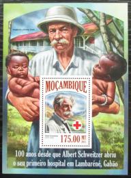 Poštovní známka Mosambik 2013 Albert Schweitzer Mi# Block 845 Kat 10€