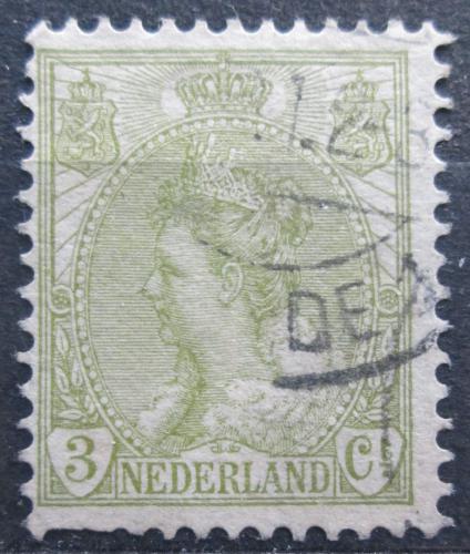Poštovní známka Nizozemí 1901 Královna Wilhelmina Mi# 67