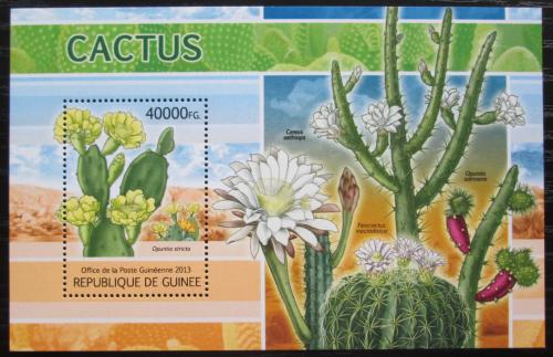 Poštovní známka Guinea 2013 Kaktusy Mi# Block 2204 Kat 16€