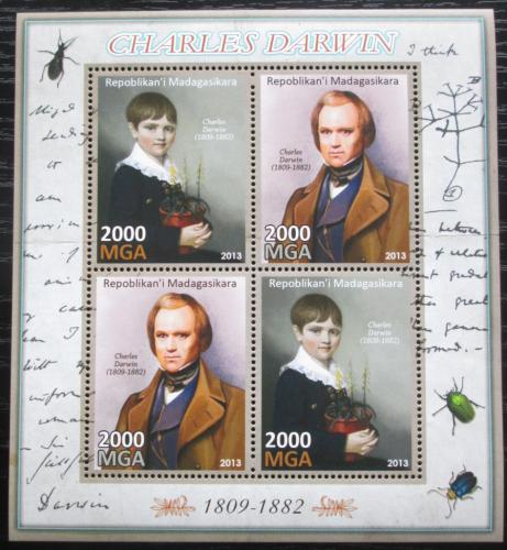 Poštovní známky Madagaskar 2013 Charles Darwin Mi# N/N