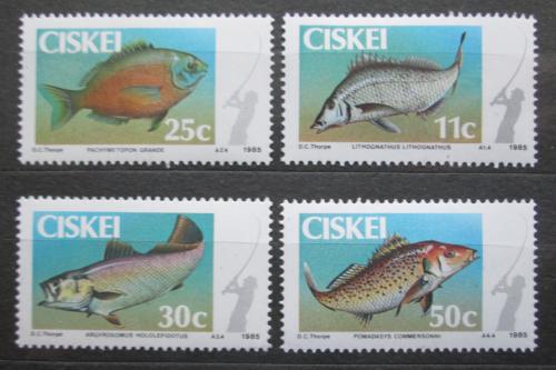 Poštovní známky Ciskei, JAR 1985 Ryby Mi# 70-73