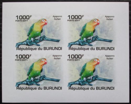 Poštovní známky Burundi 2011 Papoušík Fischerùv neperf. Mi# 1974 B Bogen