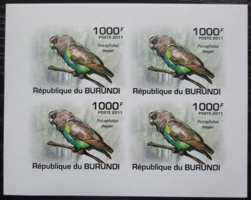 Poštovní známky Burundi 2011 Papoušek žlutotemenný neperf. Mi# 1975 B Bogen
