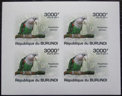 Poštovní známky Burundi 2011 Papoušek kapský neperf. Mi# 1976 B Bogen